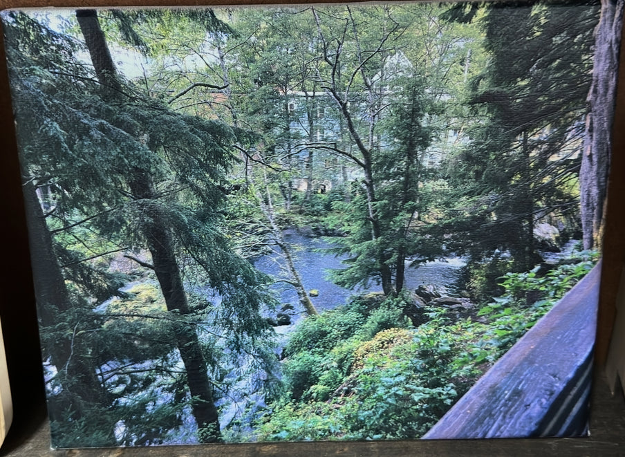 Custom Stretched Canvas Prints – Personalized Wall Art for Home or Business